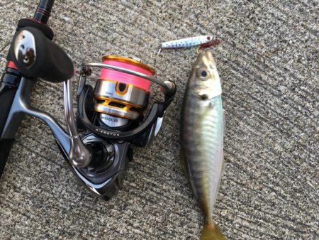 夕マヅメライトゲーム